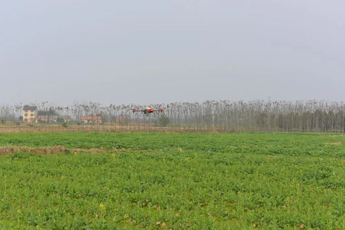 人勤春來早 荊州區農業科技服務春耕備耕