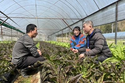 鏡頭|田間地頭農事忙 下沉監督護春耕