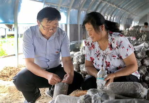 壯麗70年 奮斗新時(shí)代 濮陽 讓鄉(xiāng)土人才 香 起來