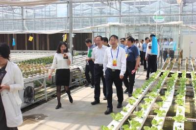 市人大常委會副主任法建強一行視察河南鄭州國家農業科技園區核心區建設工作