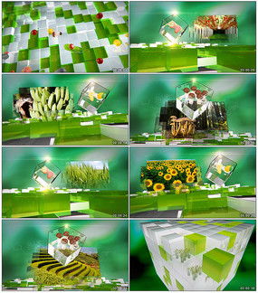 服務(wù)產(chǎn)品圖片 服務(wù)產(chǎn)品設(shè)計(jì)素材 紅動(dòng)中國