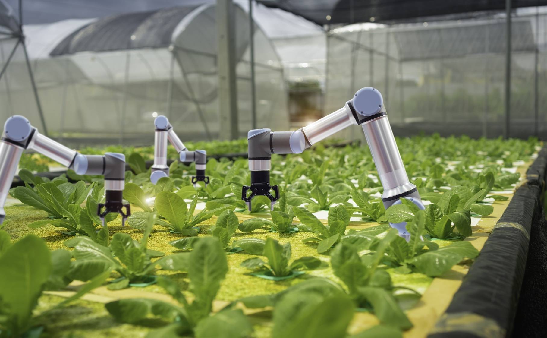 農(nóng)業(yè)農(nóng)村部:對(duì)農(nóng)業(yè)科創(chuàng)企業(yè)支持貸款規(guī)模提高至單筆不超1000萬元_服務(wù)