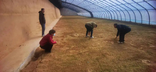 蘭州市城關(guān)區(qū):農(nóng)技服務(wù)在田間 春耕備耕正當(dāng)時