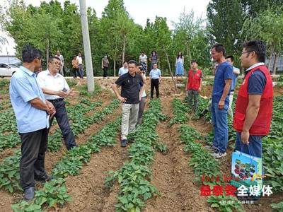 &ldquo;農(nóng)科先鋒&rdquo;志愿服務(wù),科技助力產(chǎn)業(yè)振興