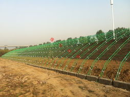 鋼管鍍塑大棚溫室建造 設(shè)計價格 鋼管鍍塑大棚溫室建造 設(shè)計型號規(guī)格