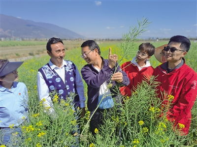 中國農(nóng)業(yè)大學(xué)2009年探索成立科技小院,培養(yǎng)農(nóng)業(yè)高層次人才,服務(wù)農(nóng)業(yè)農(nóng)村現(xiàn)代化建設(shè) 中國農(nóng)大已在全國建立139個科技小院