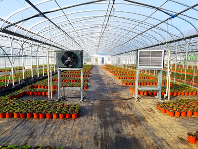 飛龍農業(yè)溫控:為中國農業(yè)溫控插上科技的翅膀