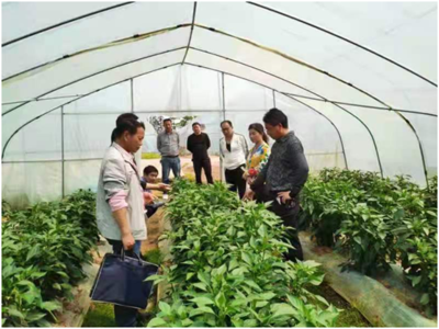 崇仁縣人民政府 工作動態(tài) 送科技下鄉(xiāng) 助春耕備耕