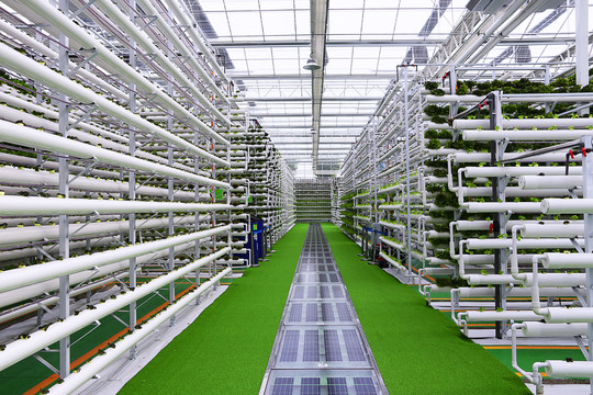 農業(yè)高科技