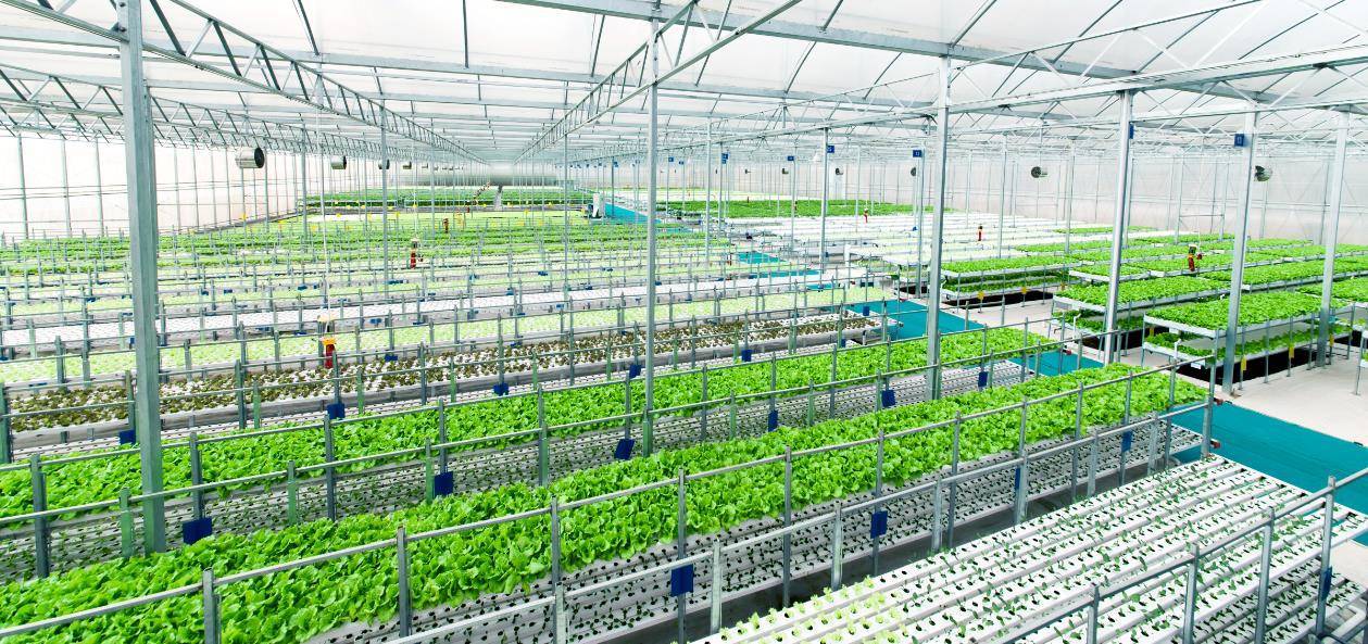 從農業(yè)4.0到旅游4.0,春沐源投資200億打造生態(tài)小鎮(zhèn)