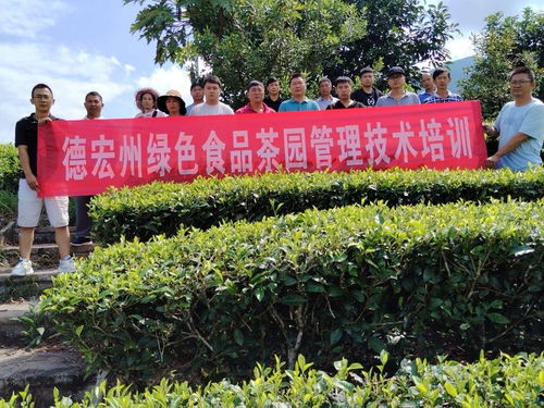 德宏州茶技站組織開(kāi)展茶葉科技培訓(xùn)