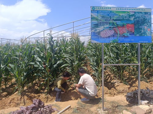 云南省農(nóng)業(yè)科學(xué)院官方網(wǎng)站 云南省農(nóng)科院