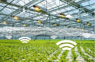 線上綠色農(nóng)業(yè):綠色農(nóng)產(chǎn)品牽手&ldquo;互聯(lián)網(wǎng)&rdquo;,帶來新機遇