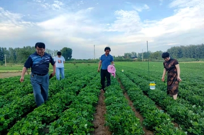 學(xué)黨史辦實(shí)事!河南桐柏縣將農(nóng)業(yè)科技送到田間地頭