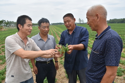 河南省正陽(yáng)縣政協(xié)精準(zhǔn)扶貧 科技進(jìn)田--人民政協(xié)網(wǎng)