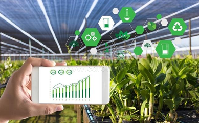 山地農業發展方向,智慧農業助力山地生態。