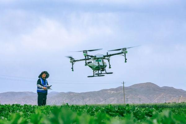 起飛!榆中無人機穿越田間忙農事