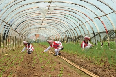 聚焦黨代會 | 五華奮力譜寫區(qū)域性國際中心城市高品質核心區(qū)建設嶄新篇章
