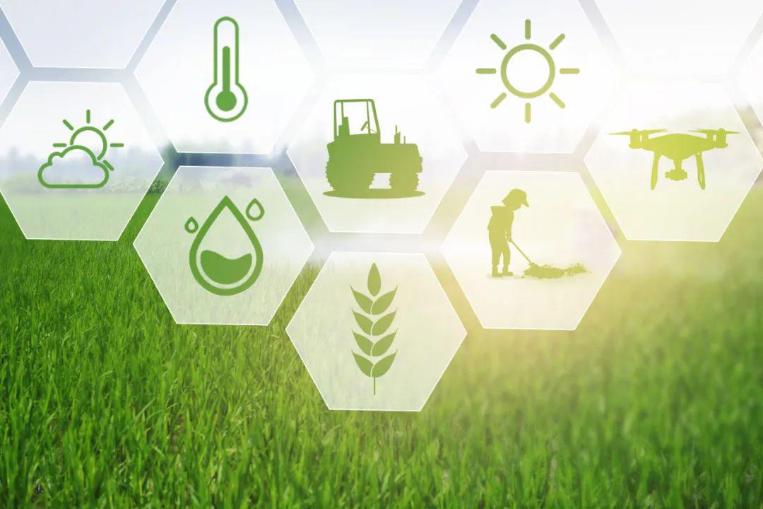 朗新科技為農業(yè)插上數字化的翅膀