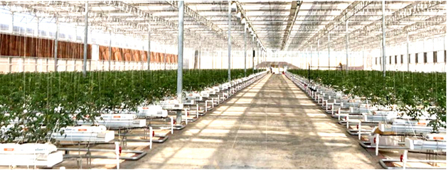 南昌紅谷灘元宇宙VR數字農業(yè)示范基地