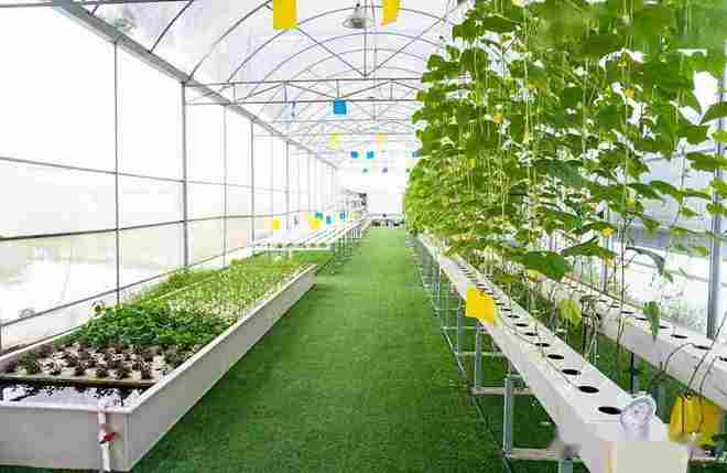 西安三產融合園,農業(yè)產業(yè)園分類,鄉(xiāng)村振興項目,美麗鄉(xiāng)村項目