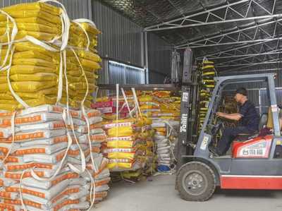 綠色農(nóng)資進(jìn)萬家 科技服務(wù)助豐收--青島市供銷社開展2025年綠色農(nóng)資下鄉(xiāng)活動