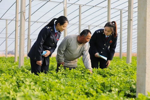 稅引擎 驅(qū)動智慧農(nóng)業(yè)展開 豐收 畫卷 央廣網(wǎng)