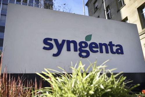 全球最大農產品巨頭將在上?？苿摪迳鲜?總部位于瑞士