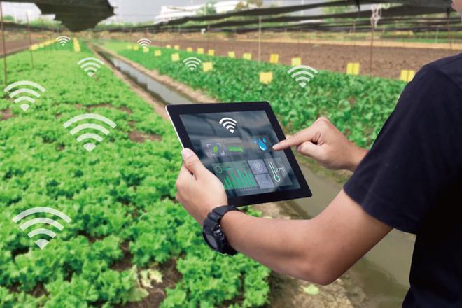 麥麥科技獲數(shù)千萬元天使輪融資發(fā)展tob端智慧農(nóng)業(yè)科技服務(wù)平臺